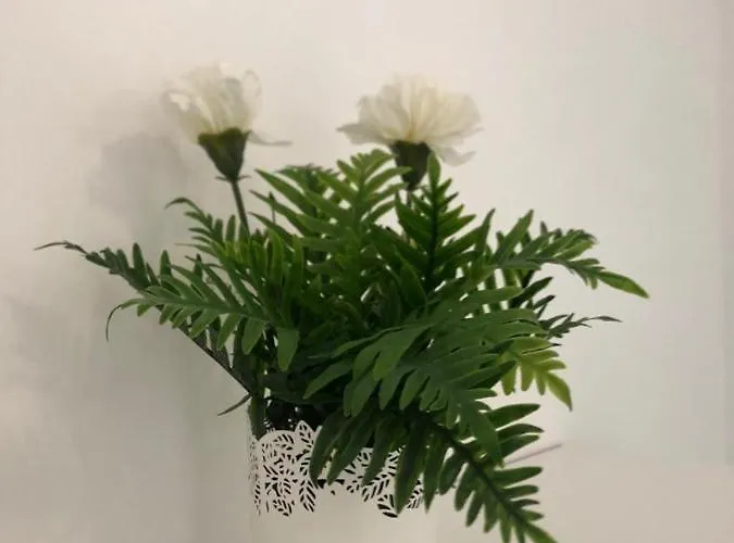 דירה Hills V - 2 Bedroom With Ocean Views And Air-condition *